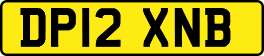 DP12XNB