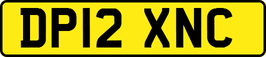 DP12XNC