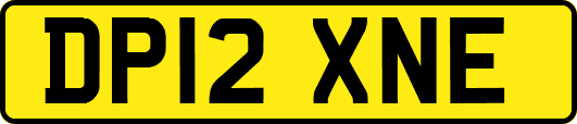 DP12XNE