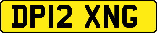DP12XNG