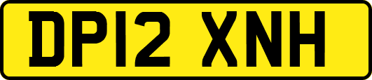 DP12XNH