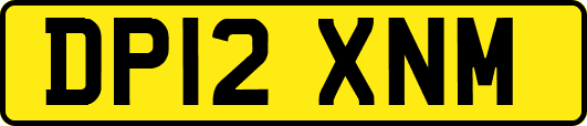 DP12XNM