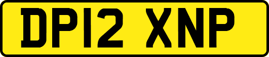 DP12XNP