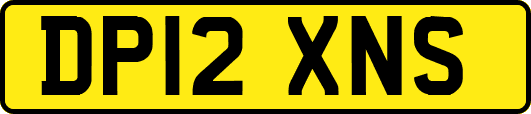 DP12XNS
