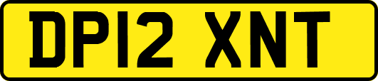 DP12XNT