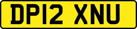DP12XNU