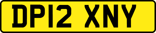 DP12XNY