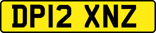 DP12XNZ