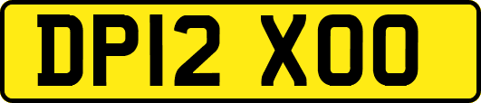 DP12XOO