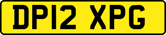 DP12XPG