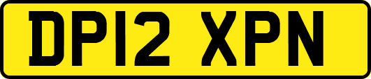 DP12XPN