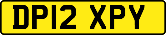 DP12XPY