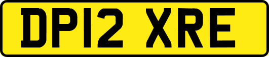 DP12XRE