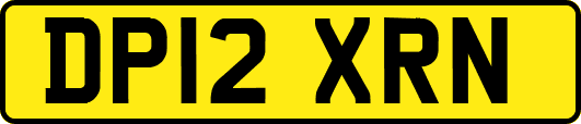 DP12XRN