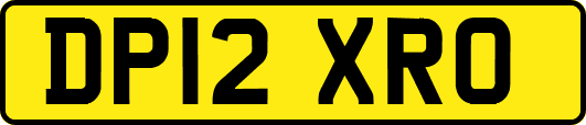 DP12XRO