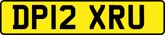 DP12XRU