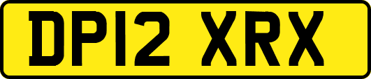 DP12XRX