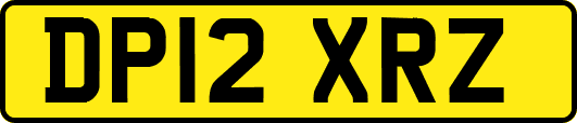 DP12XRZ
