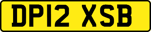 DP12XSB