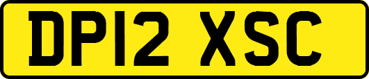 DP12XSC