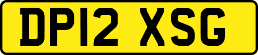 DP12XSG