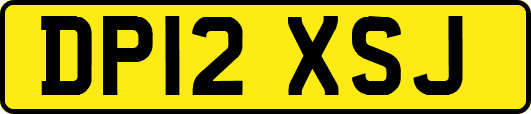 DP12XSJ