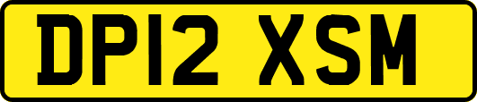 DP12XSM