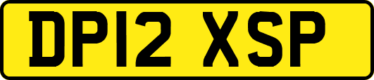 DP12XSP