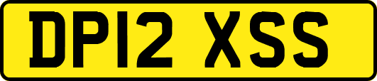 DP12XSS