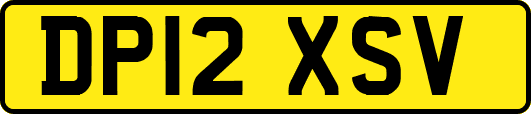 DP12XSV