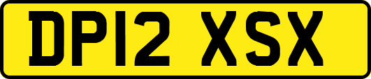 DP12XSX