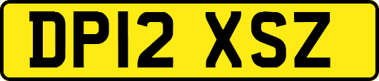 DP12XSZ