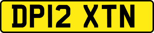DP12XTN