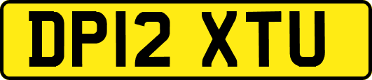 DP12XTU