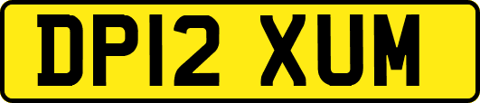DP12XUM
