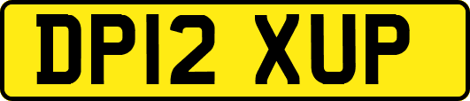 DP12XUP