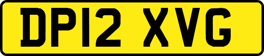 DP12XVG