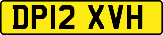 DP12XVH