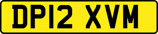 DP12XVM