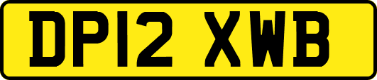 DP12XWB