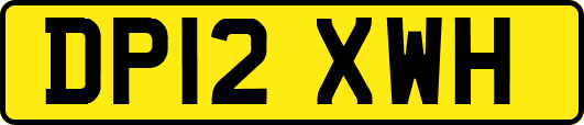 DP12XWH