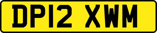 DP12XWM