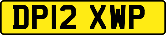 DP12XWP