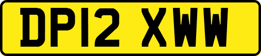 DP12XWW