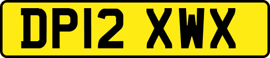DP12XWX