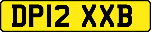 DP12XXB