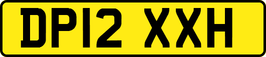 DP12XXH