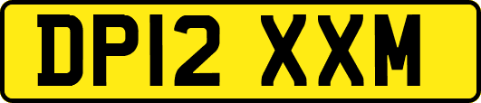 DP12XXM