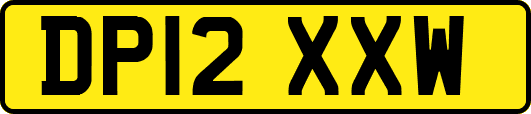 DP12XXW