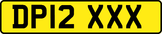 DP12XXX